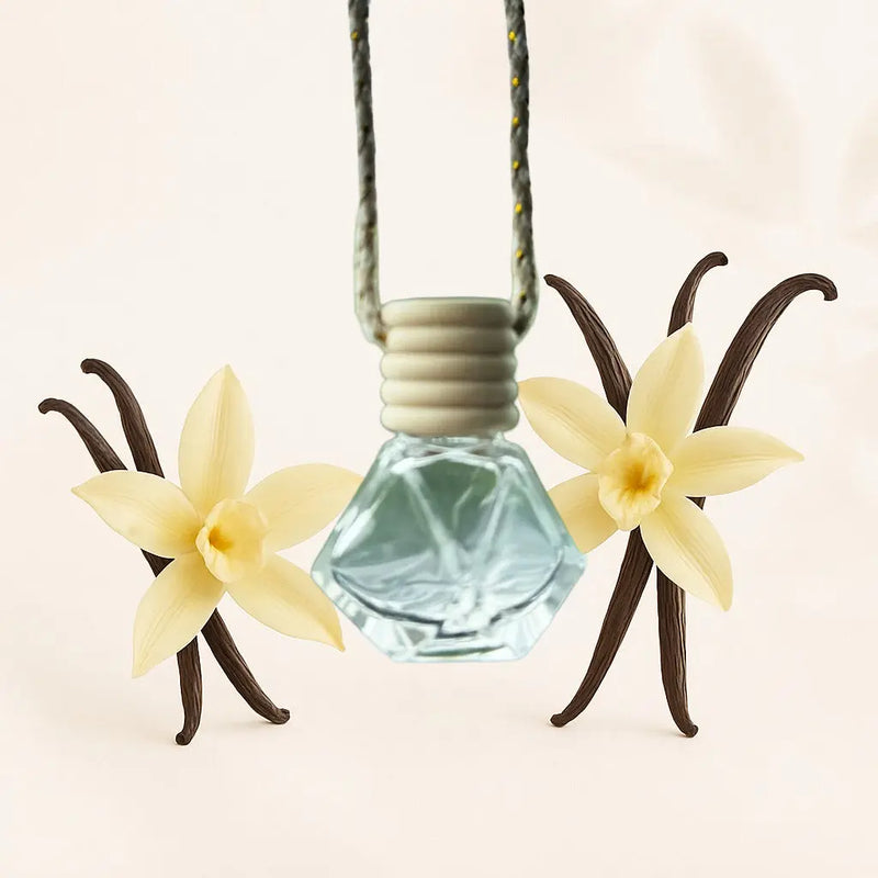 Diffuseur Voiture Vanille L'Atelier Ginko - Boutique en Ligne