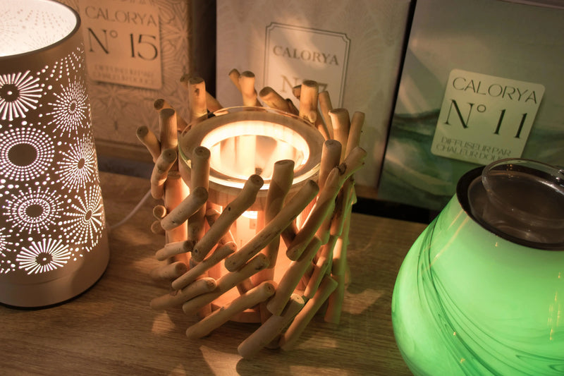 Diffuseur électrique Calorya 7 L'Atelier Ginko - Boutique en Ligne