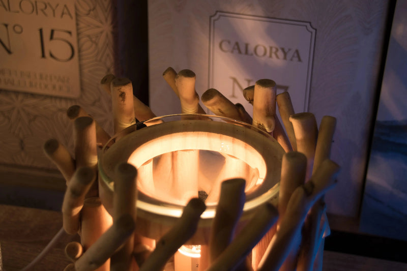 Diffuseur électrique Calorya 7 L'Atelier Ginko - Boutique en Ligne