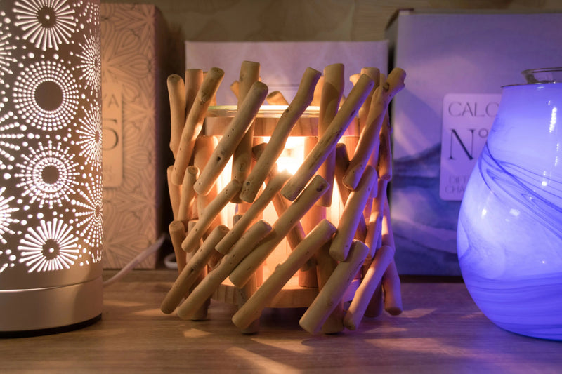 Diffuseur électrique Calorya 7 L'Atelier Ginko - Boutique en Ligne