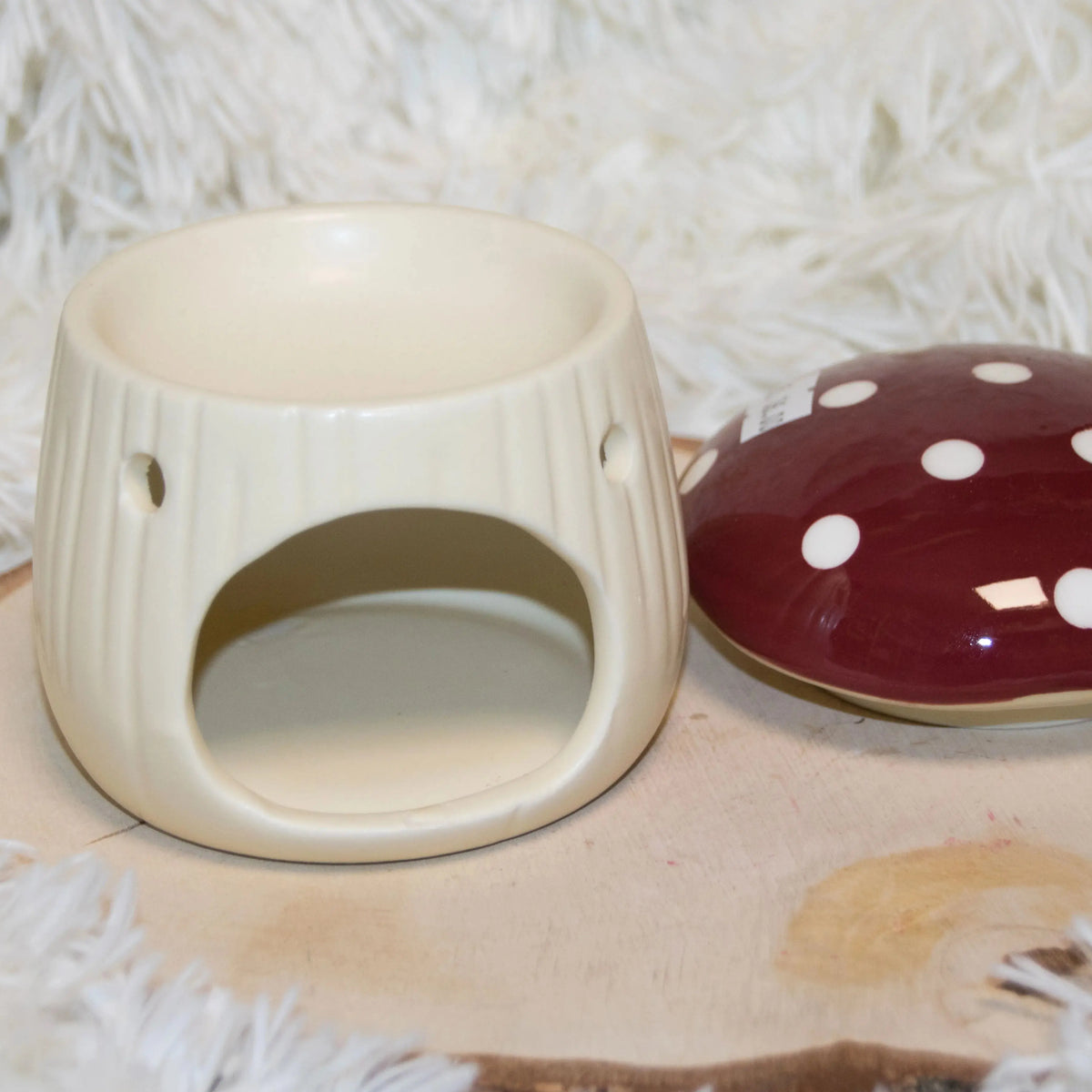 Le Diffuseur Champignon