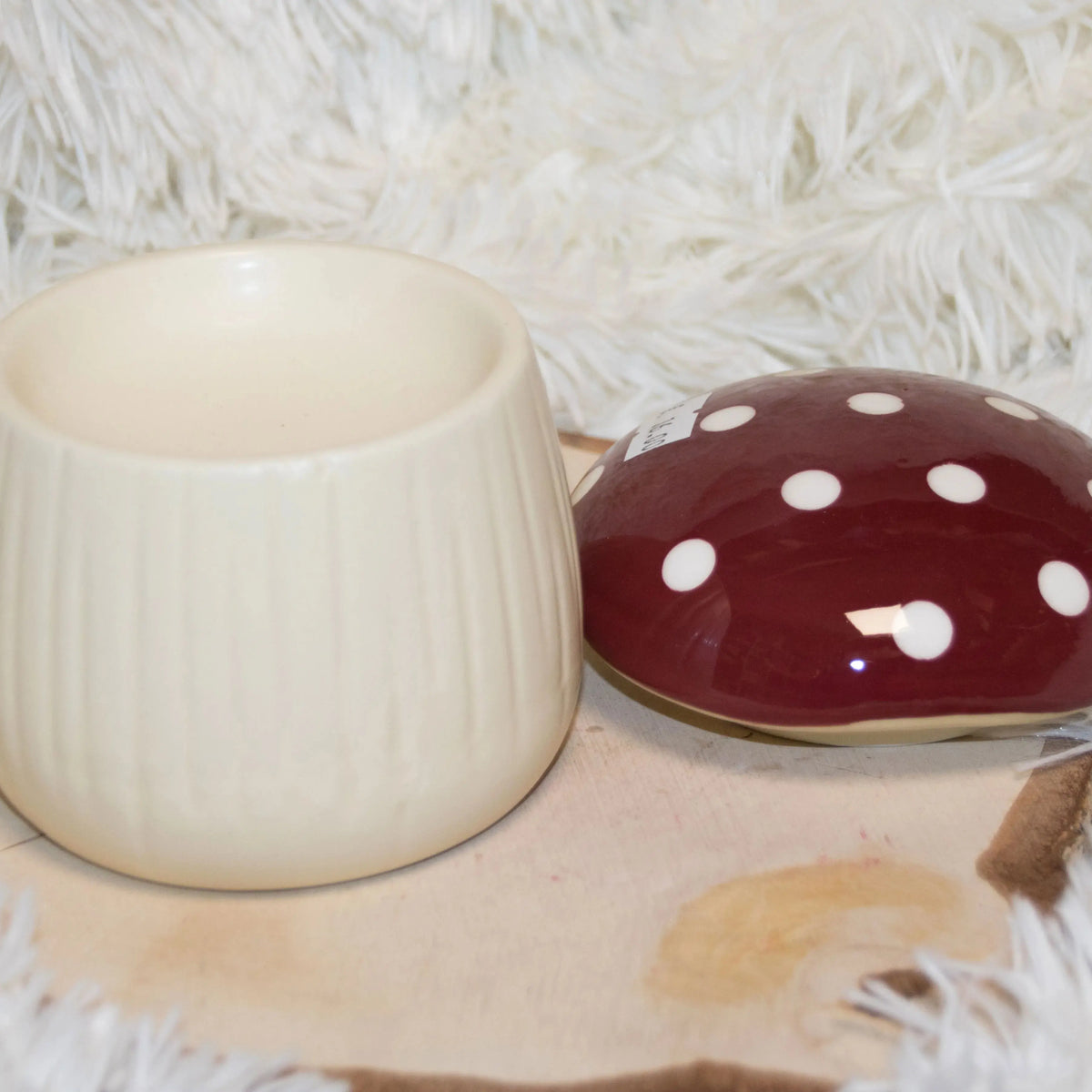 Le Diffuseur Champignon