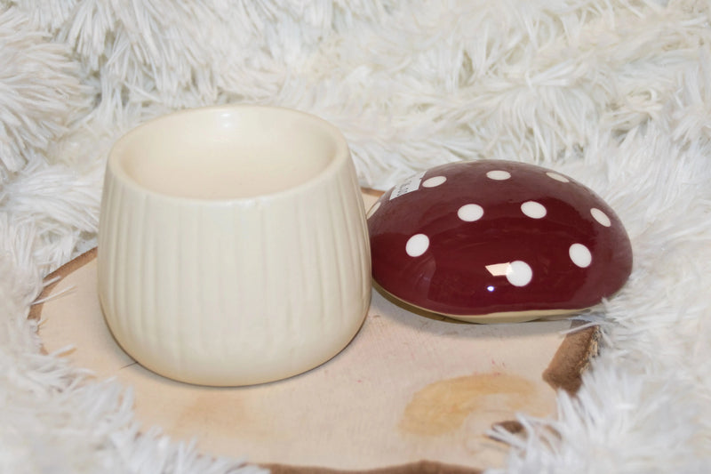 Le Diffuseur Champignon