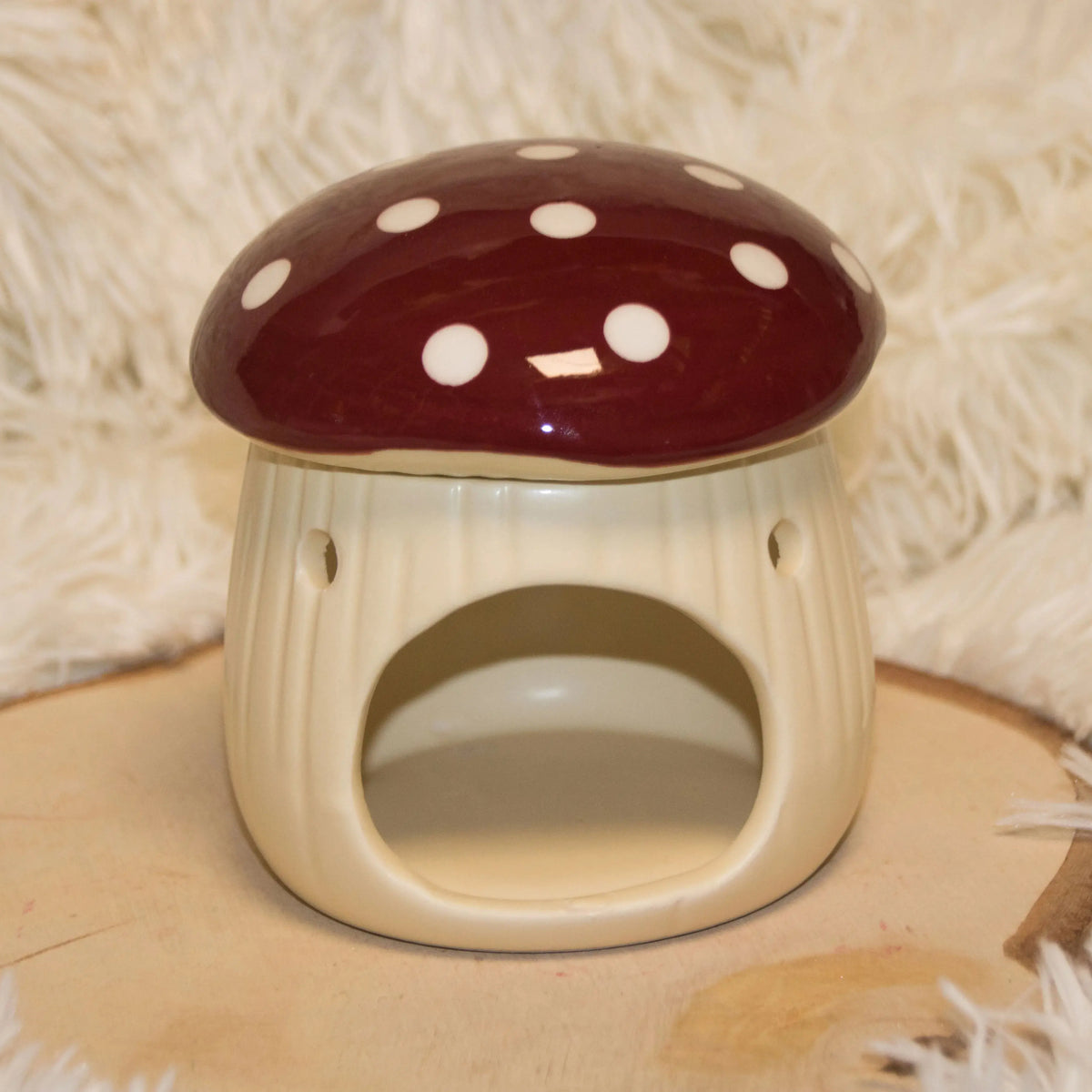 Le Diffuseur Champignon