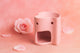 Diffuseur Coeur Rose/Rouge - L'Atelier Ginko - Boutique en Ligne