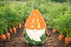 Diffuseur Gnome Carotte - L'Atelier Ginko - Boutique en Ligne