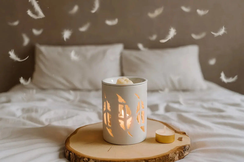 Diffuseur Plumes L'Atelier Ginko - Boutique en Ligne