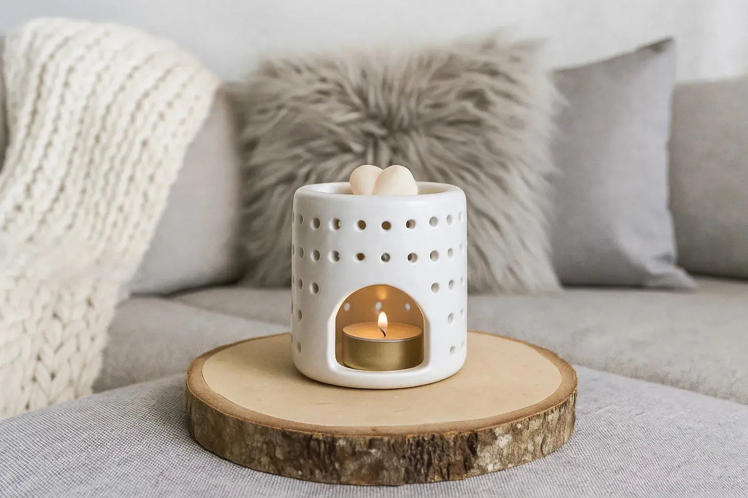 Diffuseur Coliseo L'Atelier Ginko - Boutique en Ligne