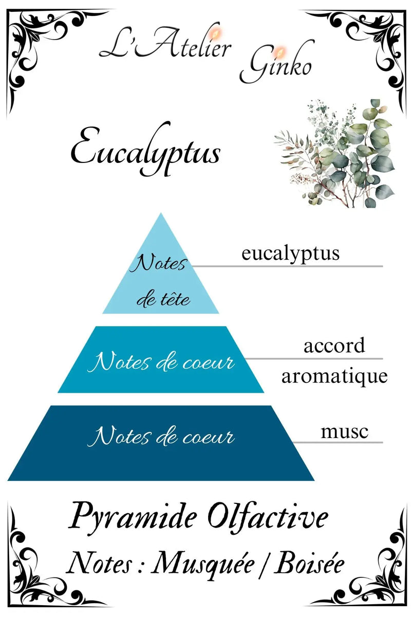 Bougie parfumée Eucalyptus - L'Atelier Ginko - Boutique en Ligne