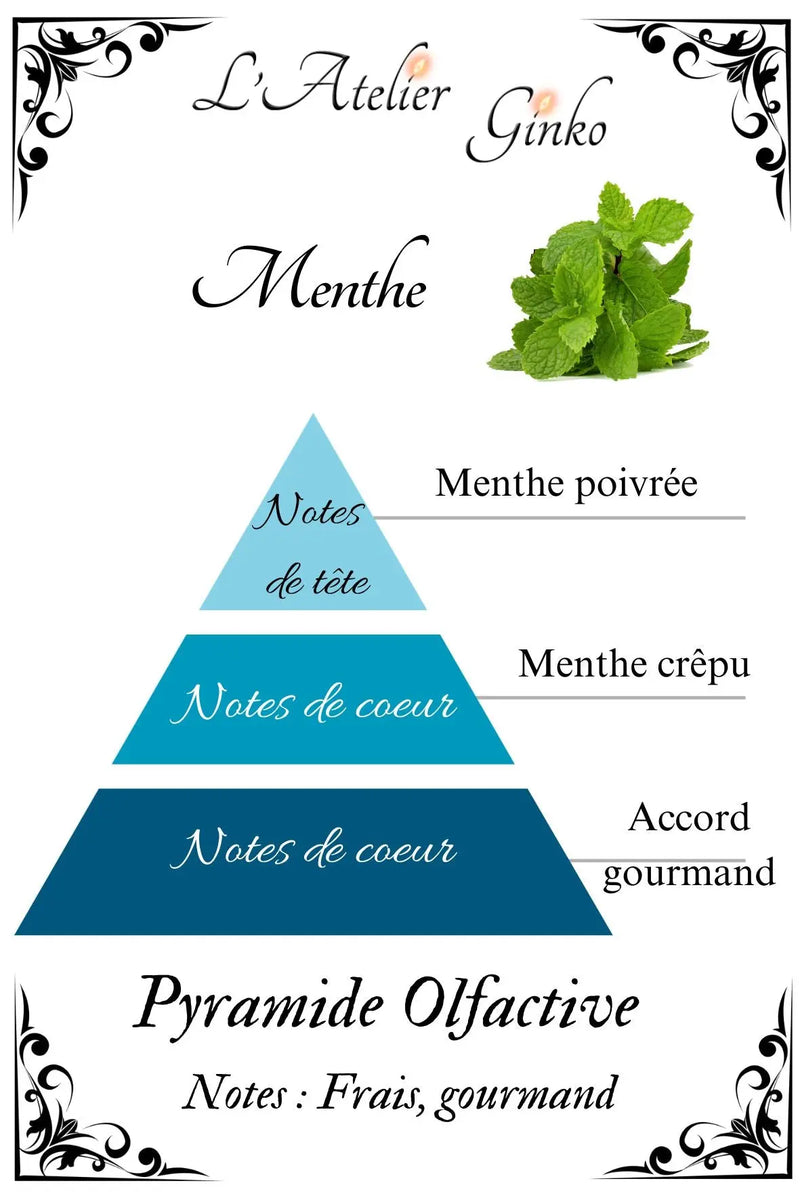 Bougie parfumée Menthe L'Atelier Ginko - Boutique en Ligne
