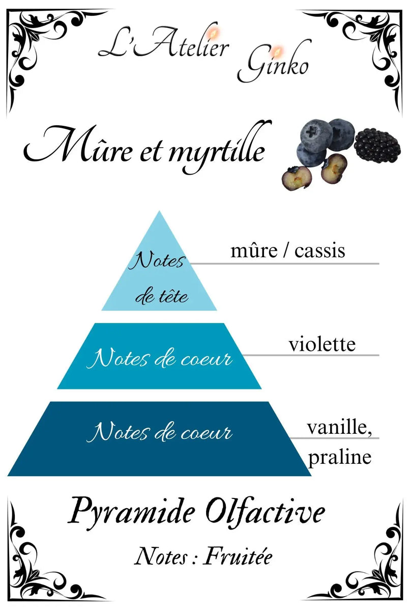 Bougie parfumée Mûre et myrtille - L'Atelier Ginko - Boutique en Ligne