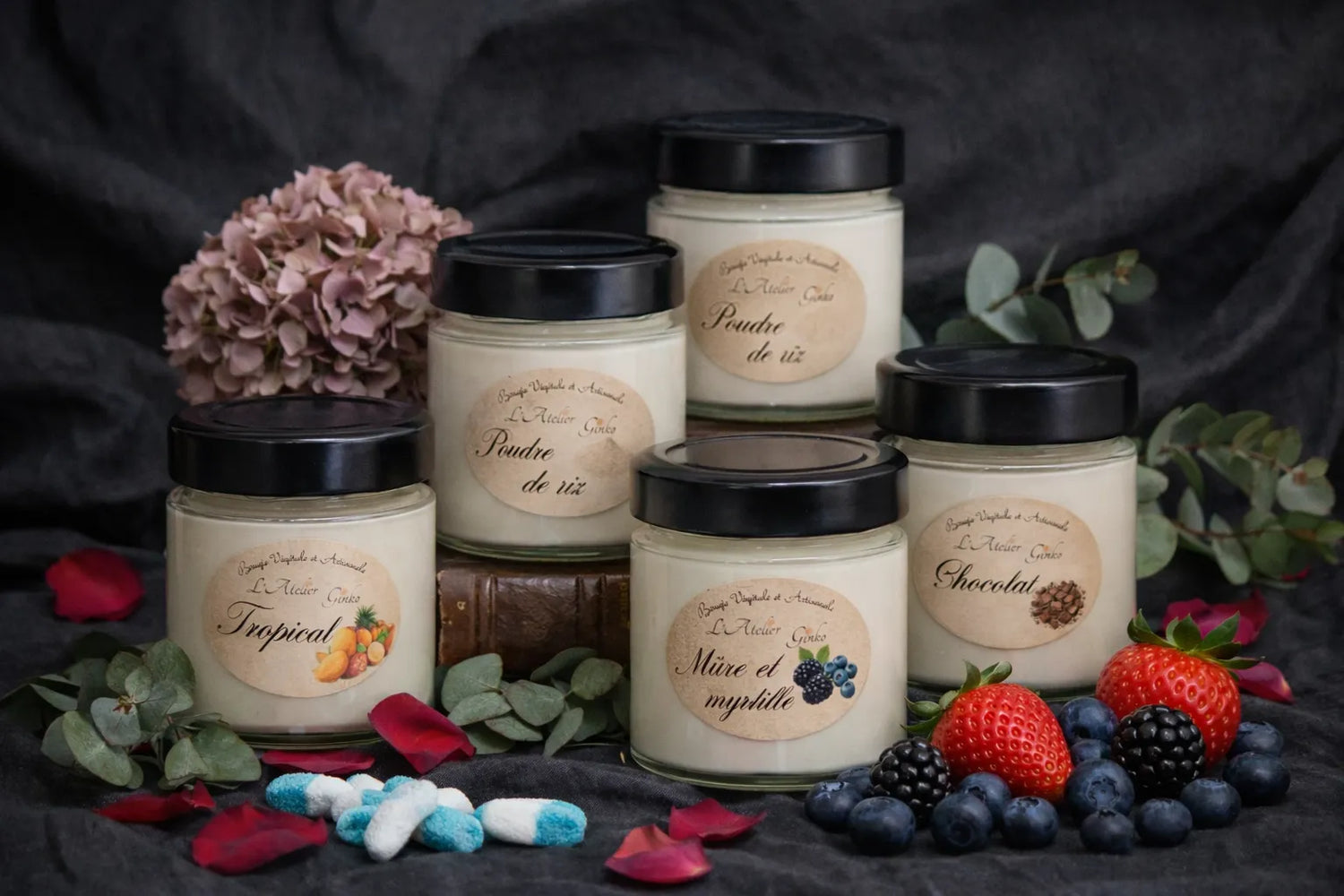 Image with text section