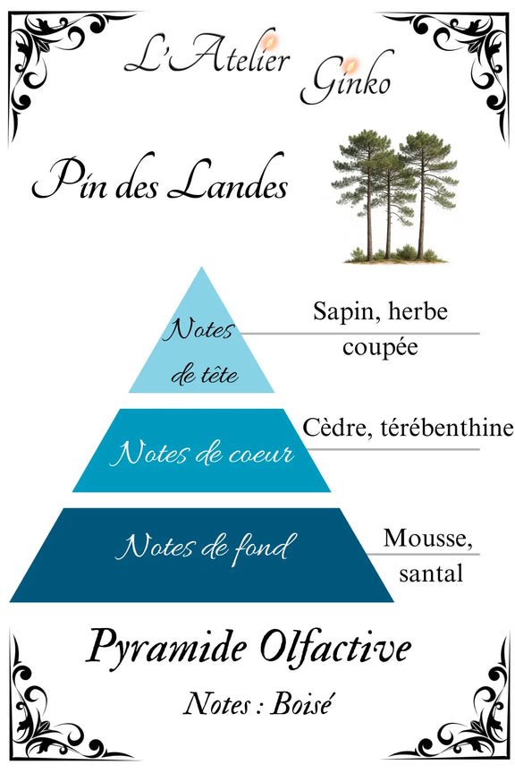 Bougie parfumée Pin des Landes L'Atelier Ginko - Boutique en Ligne