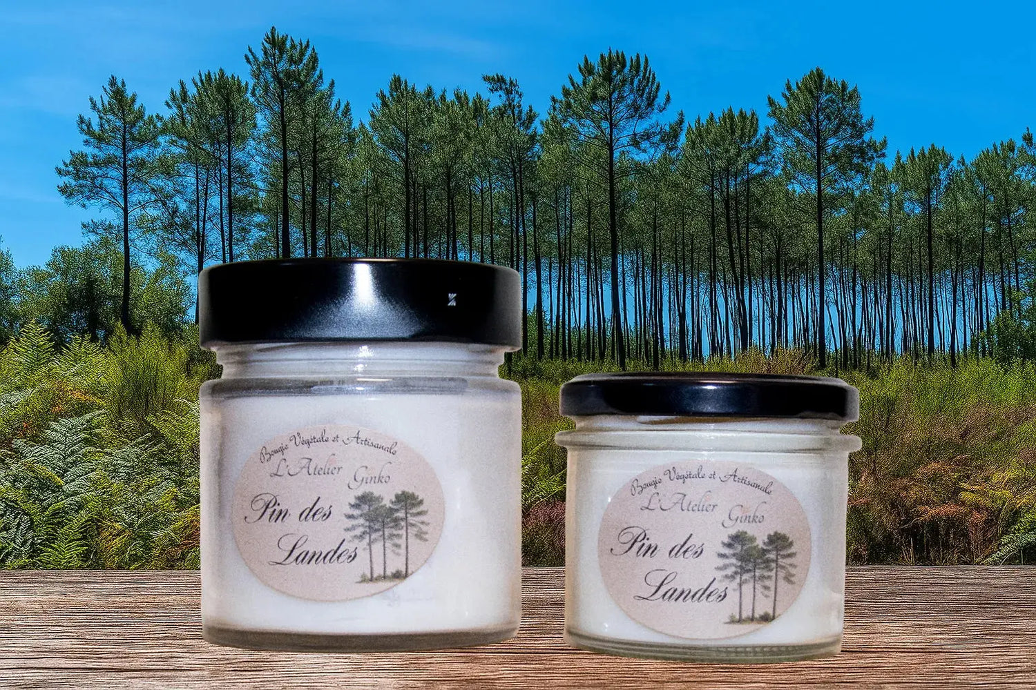 Bougie parfumée Pin des Landes L'Atelier Ginko - Boutique en Ligne