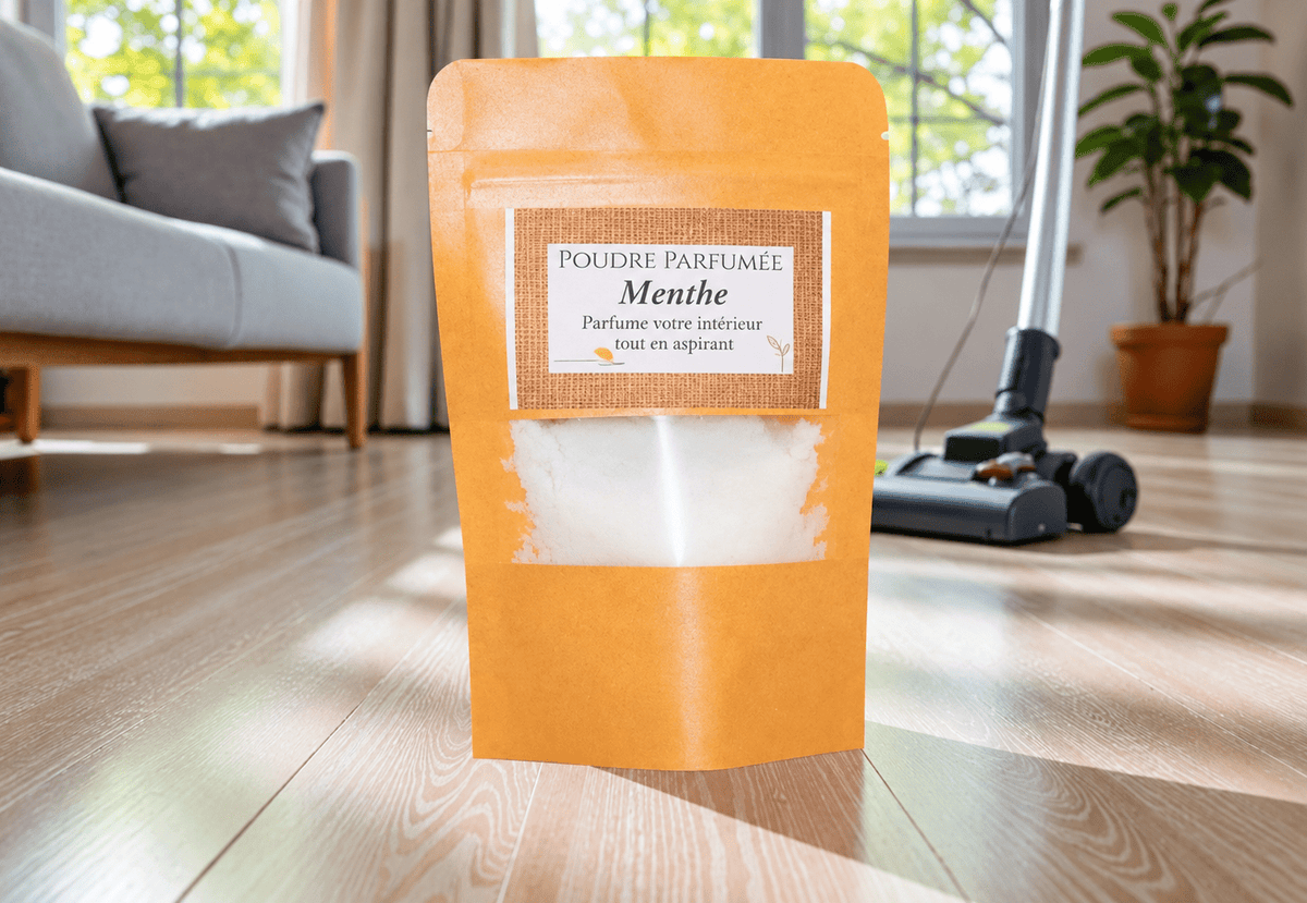Poudre d'Aspirateur Menthe - L'Atelier Ginko - Boutique en Ligne