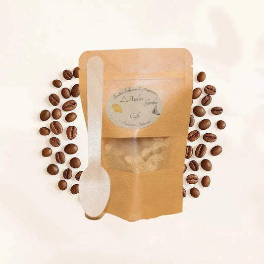 Poudre d'Aspirateur Café L'Atelier Ginko - Boutique en Ligne