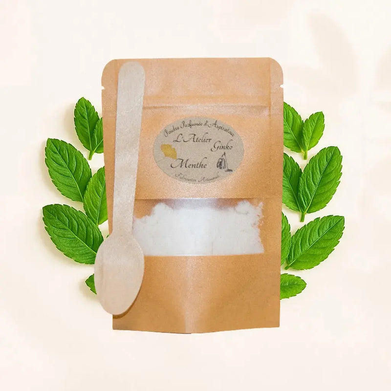 Poudre d'Aspirateur Menthe L'Atelier Ginko - Boutique en Ligne