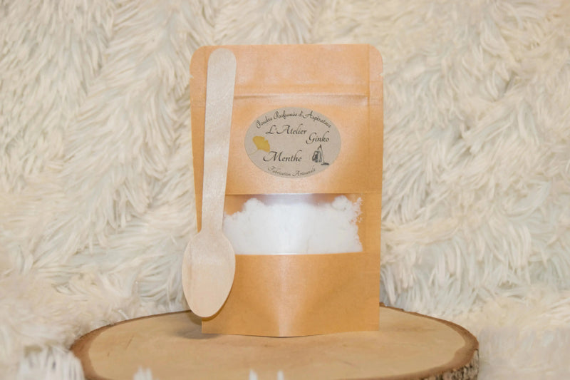 Poudre d'Aspirateur L'Atelier Ginko - Boutique en Ligne