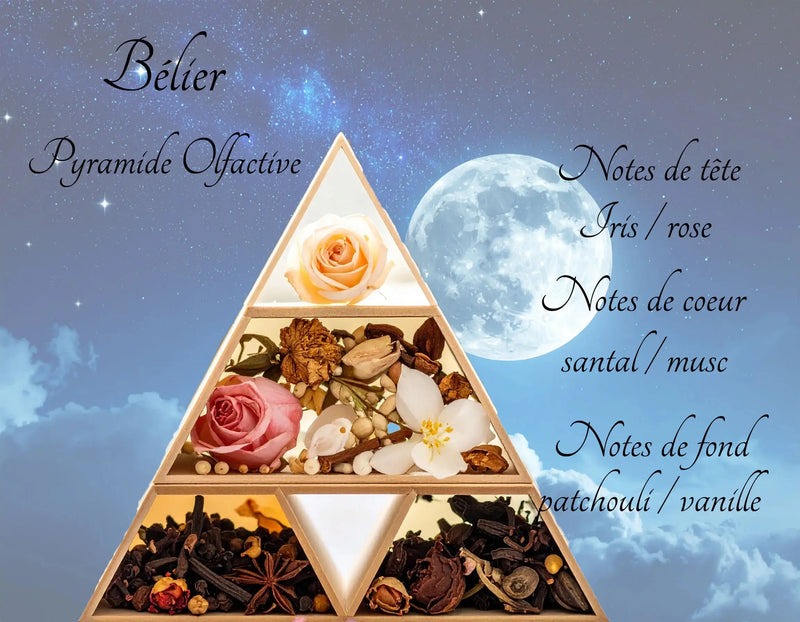 Bougie Astrologique Bélier L'Atelier Ginko - Boutique en Ligne
