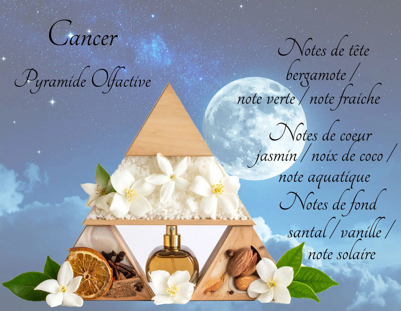 Bougie Astrologique Cancer L'Atelier Ginko - Boutique en Ligne