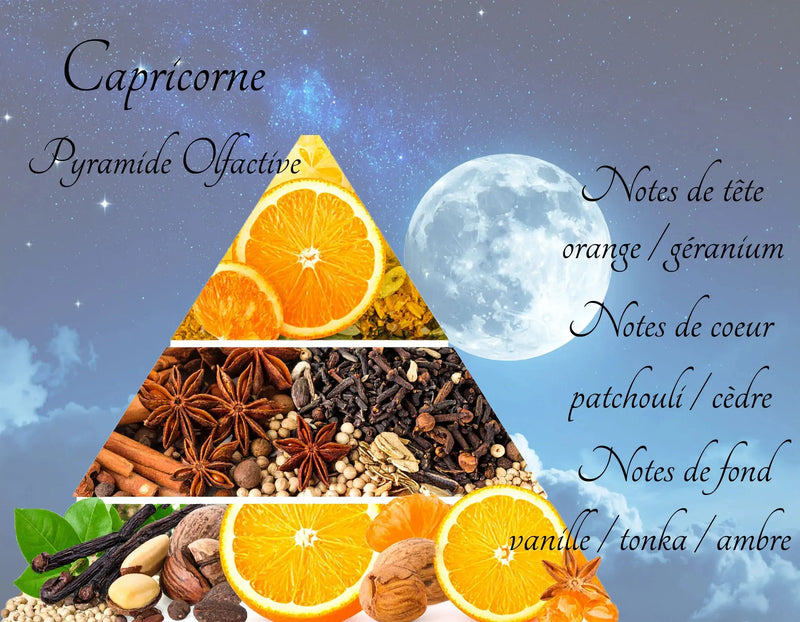 Bougie Astrologique Capricorne L'Atelier Ginko - Boutique en Ligne