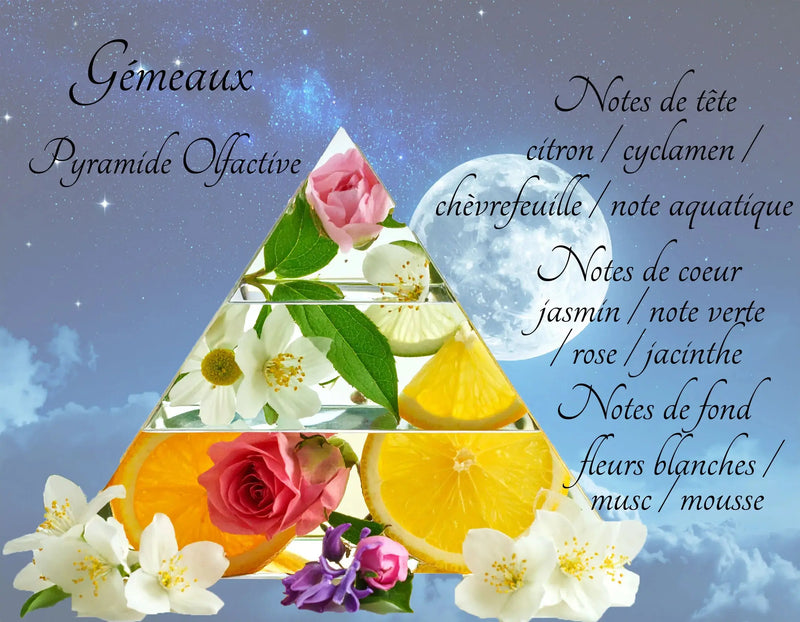 Bougie Astrologique Gémeaux L'Atelier Ginko - Boutique en Ligne