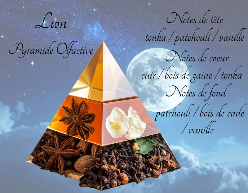 Bougie Astrologique Lion L'Atelier Ginko - Boutique en Ligne
