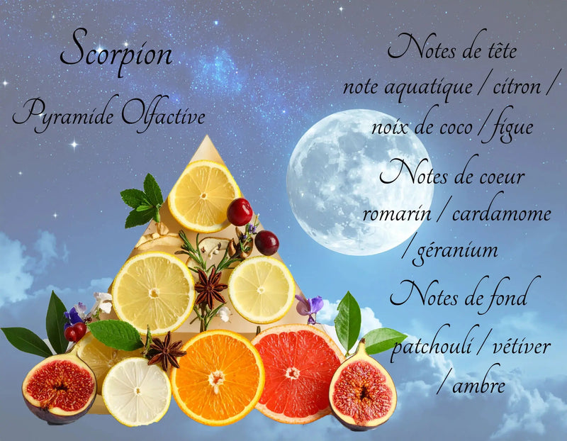 Bougie Astrologique Scorpion L'Atelier Ginko - Boutique en Ligne