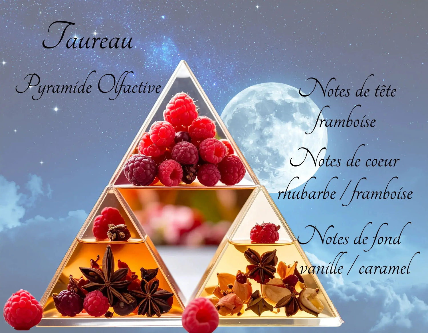 Bougie Astrologique Taureau L'Atelier Ginko - Boutique en Ligne
