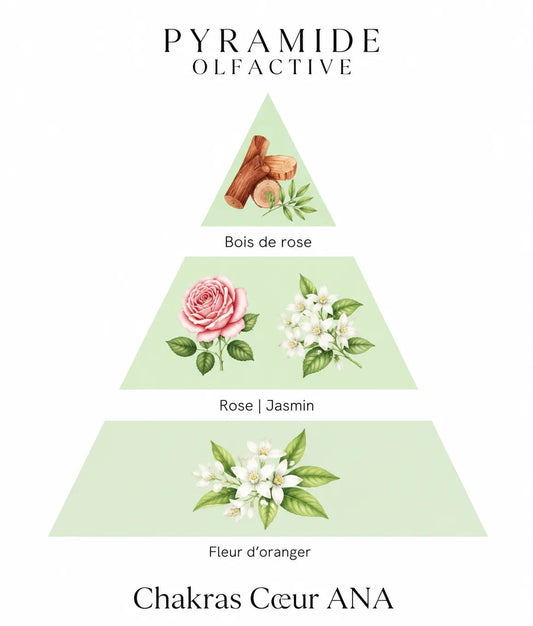 Bougie parfumée Chakras Cœur ANA L'Atelier Ginko - Boutique en Ligne