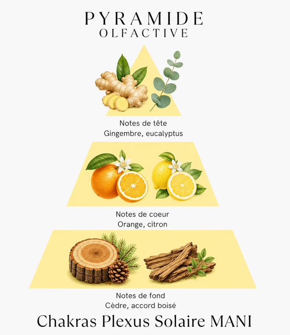 Bougie parfumée Chakras Plexus Solaire MANI L'Atelier Ginko - Boutique en Ligne