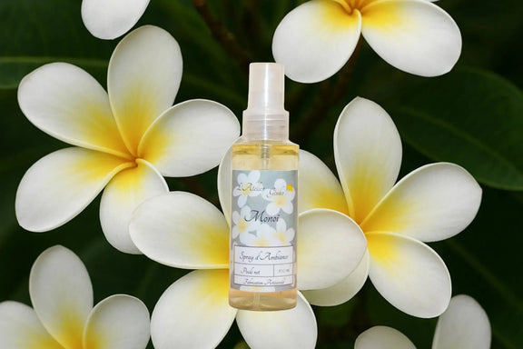 Spray d'Ambiance Monoï - L'Atelier Ginko - Boutique en Ligne