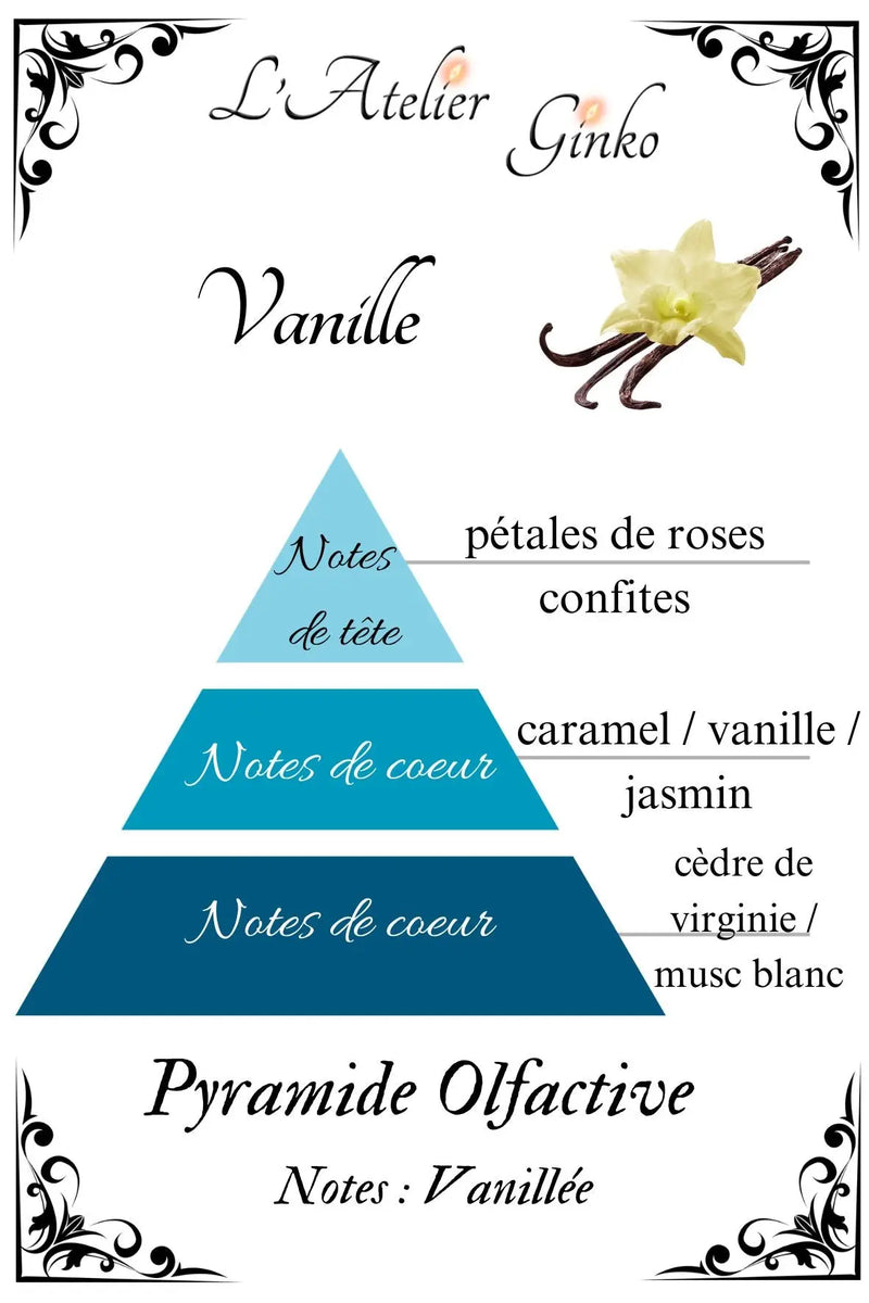 Bougie parfumée Vanille - L'Atelier Ginko - Boutique en Ligne