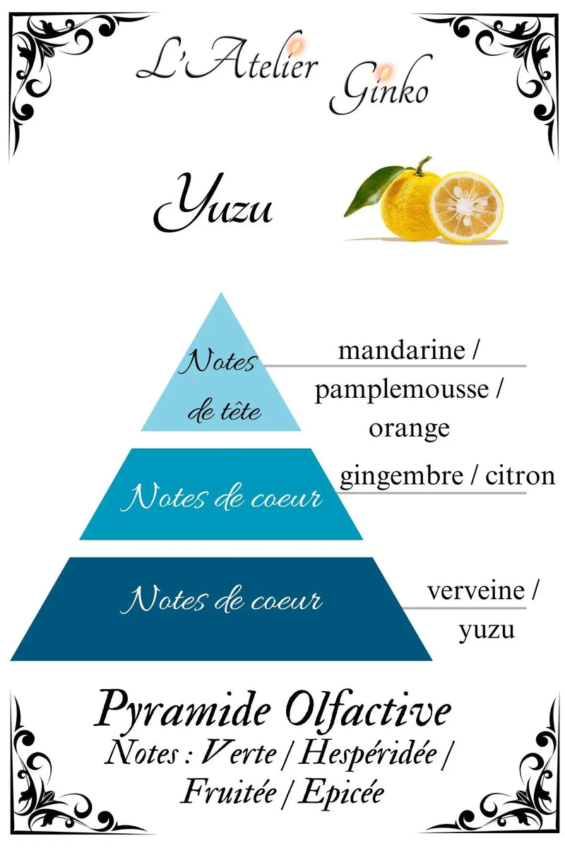 Bougie parfumée Yuzu - L'Atelier Ginko - Boutique en Ligne